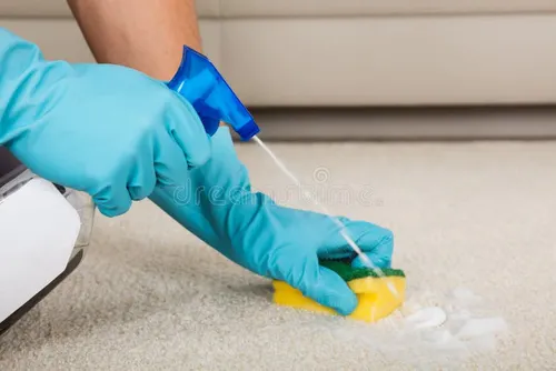 Carpet Shampoo & Cleaners