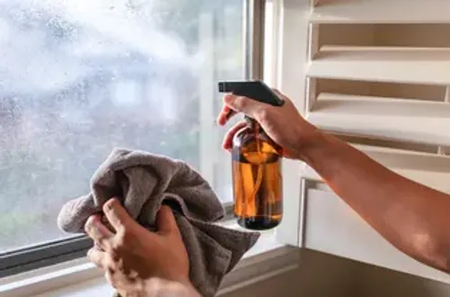 Glass / Surface Cleaner