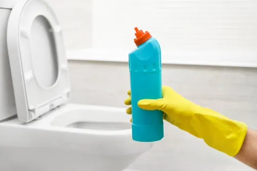 Bowl Cleaners