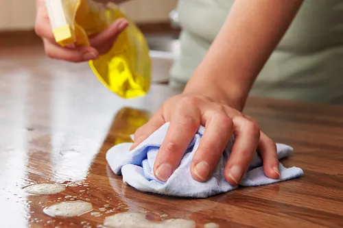 Specialty Cleaners / Polishes