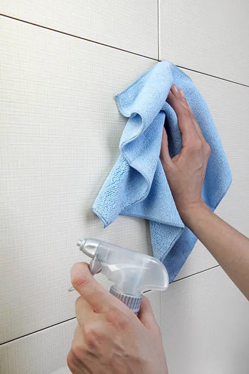 Dust Cloths & Dusters