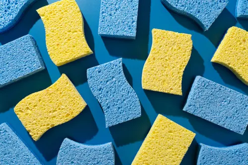 Sponges